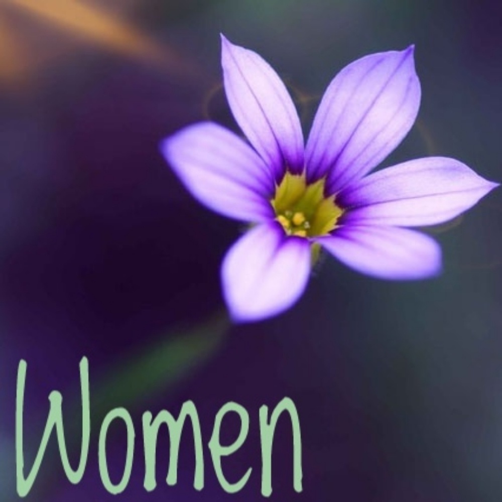 Stylish & Affordable Women's Clothing